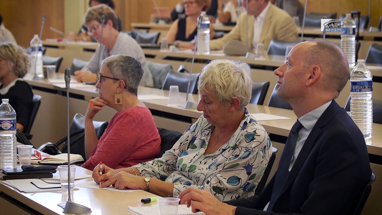 Itw de Jean-Pierre Couteron (CNS) - addictions au tabac et à l'alcool - cese