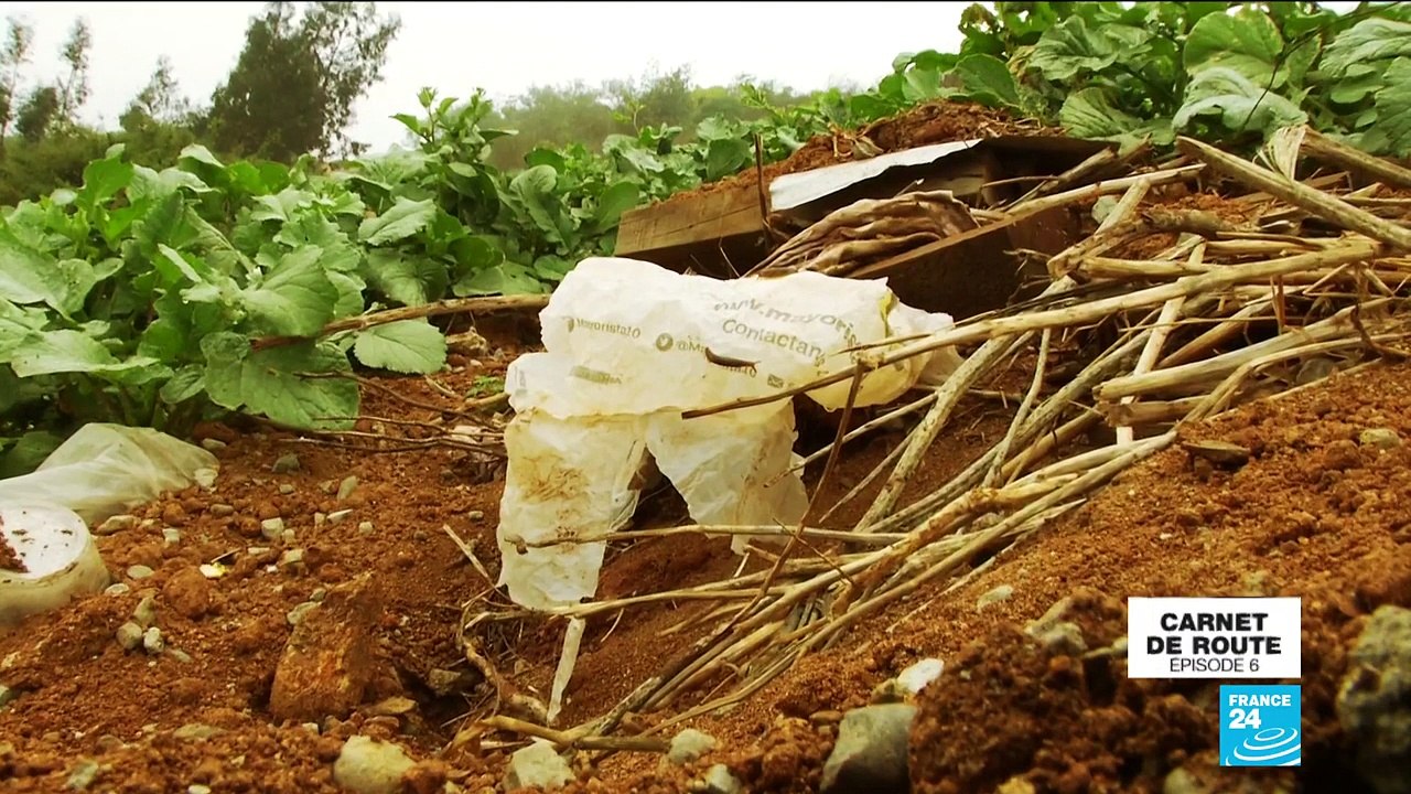 Le Chili, premier pays d’Amérique du Sud à interdire les sacs plastique
