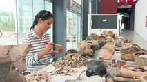 8 bin yıllık çipura kalıntısı bulundu - İZMİR