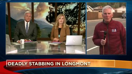 1 Killed, 2 Wounded in Domestic Violence Stabbing in Colorado Home