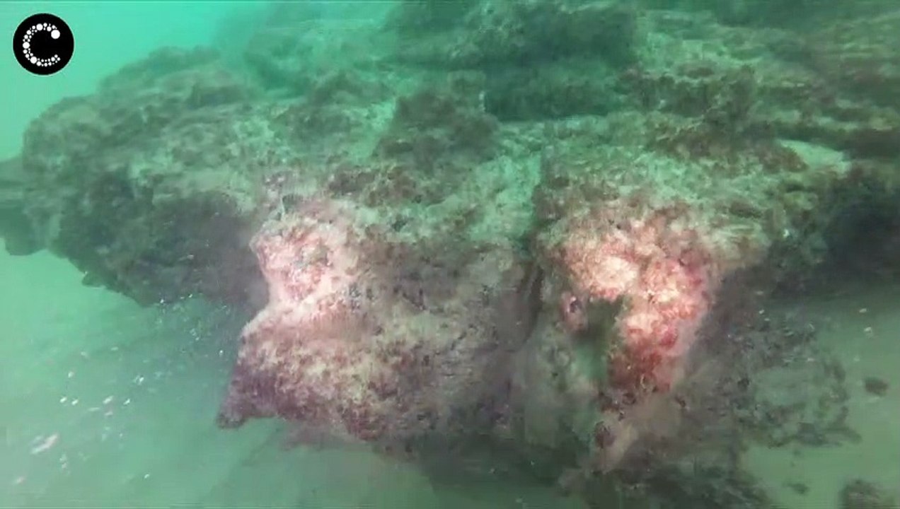 Un vaisseau de la route des Indes découvert au Portugal