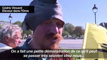 "Opération sangliers" d'un commando de paysans aux Invalides