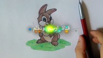 تعلم رسم ارنب ديزنى خطوة بخطوةhow to draw disney Rabbit