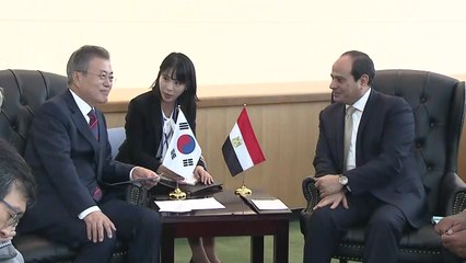 한·이집트 정상회담..."방산 협력 확대" / YTN