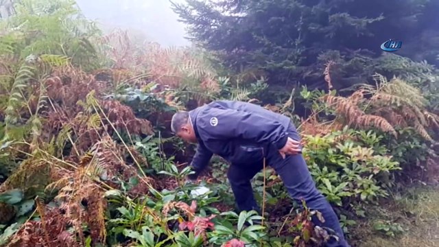 Doğa Koruma ve Milli Parklar Giresun Şube Müdürü Kuduban: “Doğayı böyle seven bu bölgeye gelmesin”