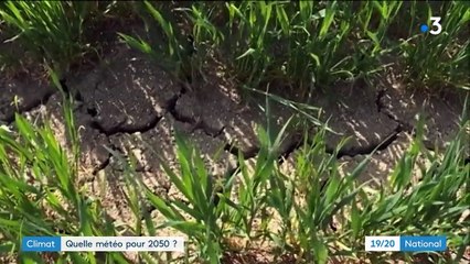 Climat : quelle météo pour 2050 ?