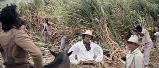 Carne Cruda - Blacksnake - 2T