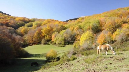SAB.11-11-17- MONTE ALTO, MONTE MACCHIA GELATA E MONTE PIZZUTO DA POGGIO PERUGINO SUI MONTI SABINI.