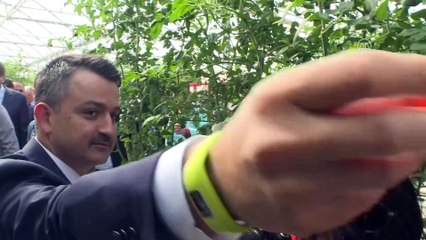 Pakdemirli, büyükbaş hayvan çiftliği, süt işleme tesisi ile seralarda inceleme yaptı - İZMİR
