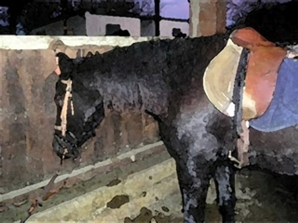 Au cheval
