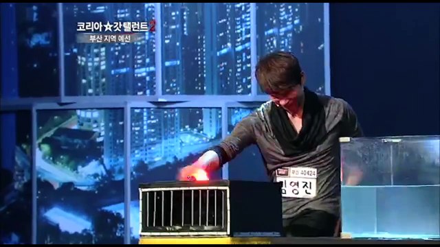 Animals Got Talent - Young-Jin Kim on Koreas Got Talent 2012 Audition