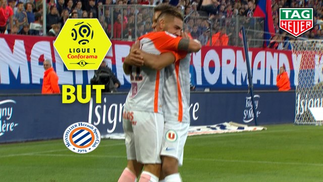But Andy DELORT (37ème) / SM Caen - Montpellier Hérault SC - (2-2) - (SMC-MHSC) / 2018-19