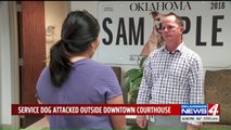 Seeing-Eye Dog Attacked Outside of Oklahoma City Courthouse