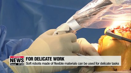 Local researchers develop soft robot that changes its color and shape