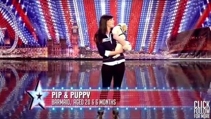 Animals Got Talent - Pip and Puppy on Britains Got Talent 2011 Audition