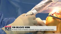 Local researchers develop soft robot that changes its color and shape