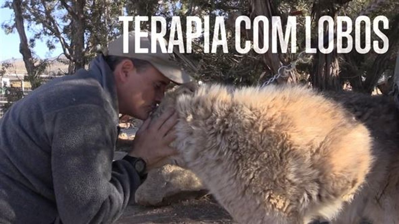 Terapia com lobos