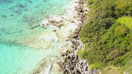 Bird's Eye View - Lisa Trifiletti