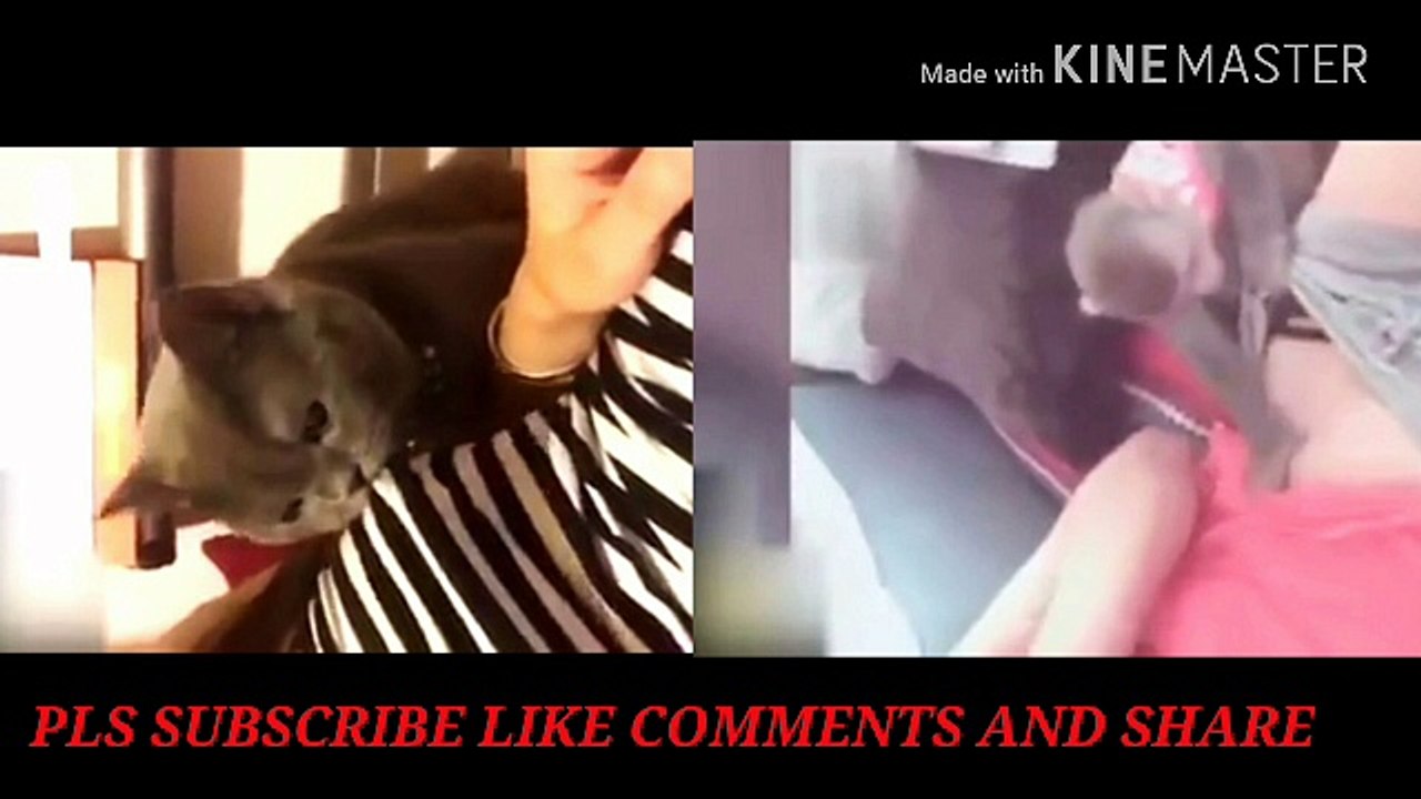 ANIMALS LOVE WITH GIRL THEN WHAT HAPPENED DONT MISS 640x360 0.94Mbps 2018-07-21 12-42-58