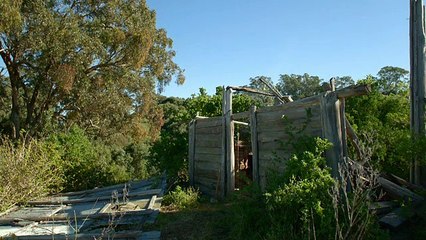 Doctor Doctor S01 E09