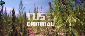 Tus - Criminal (Official Video Clip)