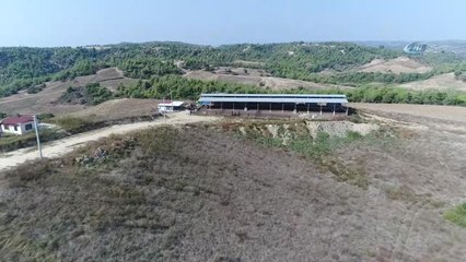 Adana'da Kiralık Hazine Arazisi Kavgası: 1 Ölü