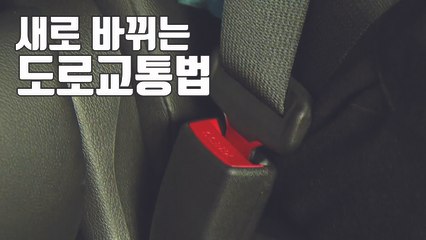 [자막뉴스] 새로 바뀌는 도로교통법 #안전띠 #자전거 / YTN