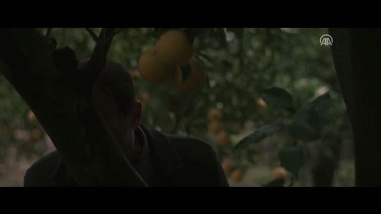 Sinema - "Halef"