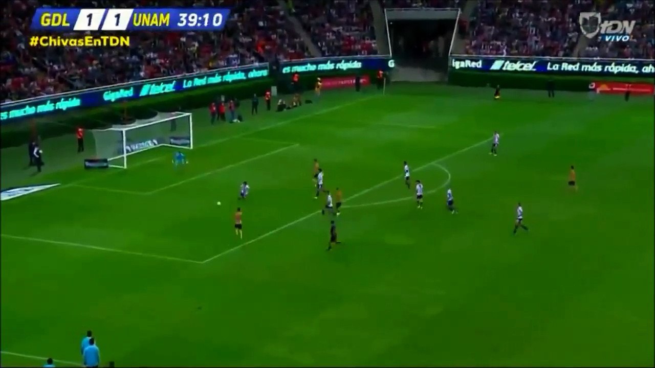 ygool5