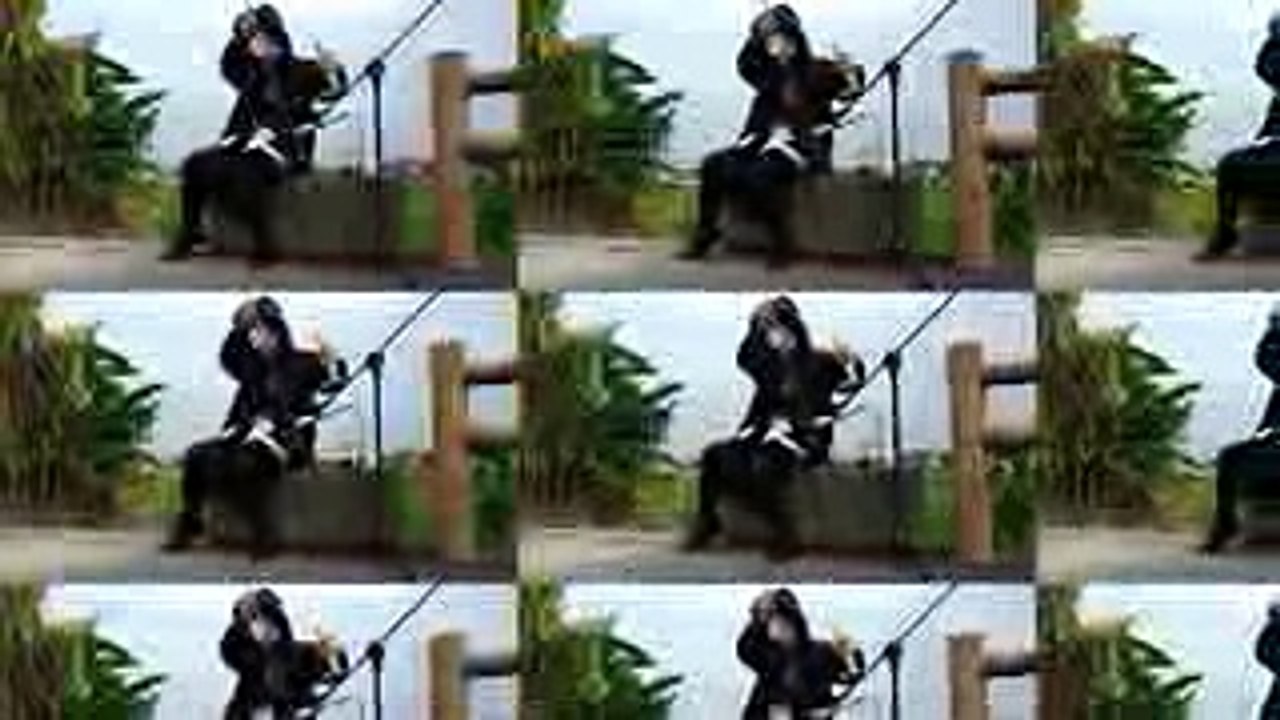 【エロマンガ先生】埃羅芒阿老師(我的妹妹是黃漫老師)！OPヒトリゴト鋸琴版(Musical saw) Cover by 葉鋸