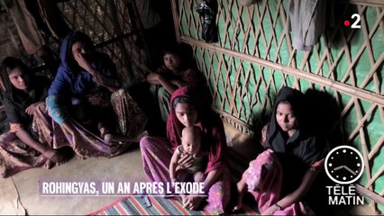 Humanitaire - Rohingyas