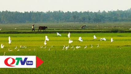 Thanh bình Làng quê Yên Đức - QTV