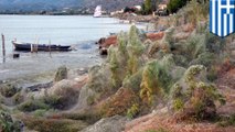 Jaring laba-laba di pantai di Yunani - TomoNews