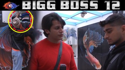 Bigg Boss 12: Karanvir Bohra ने पकड़ी Deepak Thakur की चोरी; चुरा रहे थे ये चीज़ | FilmiBeat