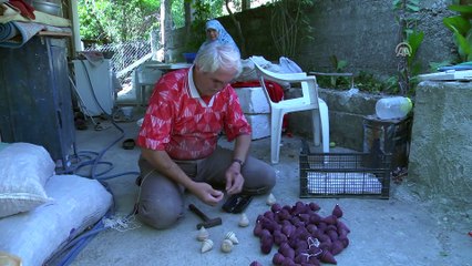 'Afrinli çocuklar gülsün' diye bin topaç yaptı - KASTAMONU
