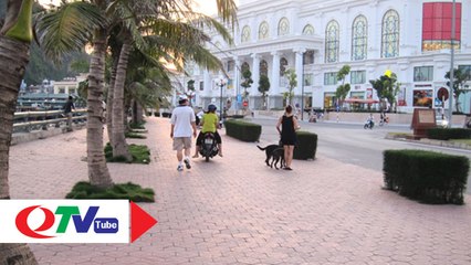 NCHL - Ngắm -nụ cười Hạ Long- sáng bình minh - QTV