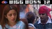 Bigg Boss 12: Karanvir Bohra or Neha Pendse, Know who will be Next CAPTAIN | FilmiBeat