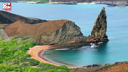 Hệ sinh thái độc đáo của Galapgos