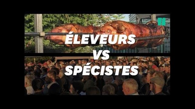 Face-à-face tendu entre militants pour la cause animale et éleveurs partout en France