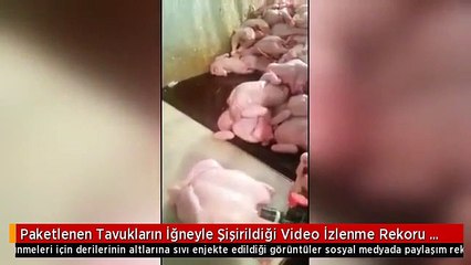 Bu görüntü sonrası tavuk yerken bir daha düşünün!