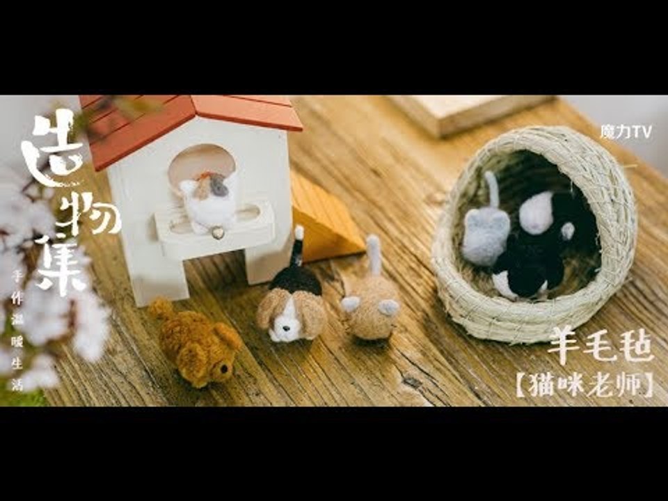 《造物集》S06E22 羊毛毡猫咪老师