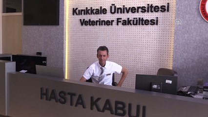 Hayvan sevgisiyle en iyi 300 fakülte arasına girdi - KIRIKKALE
