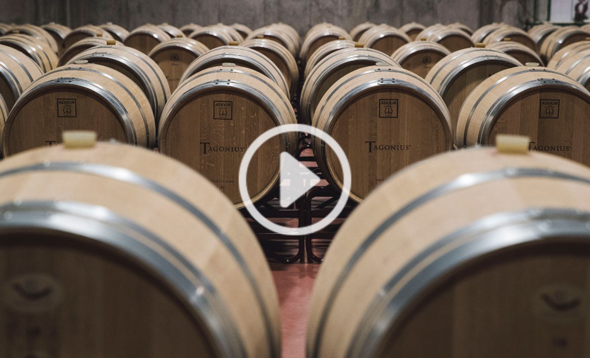 Enoturismo en Madrid: Bodegas Tagonius y Bodegas Cuarto Lote - Cuatro Infantes