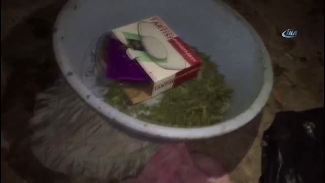 Artvin'de Uyuşturucu Operasyonu: 21 Kilo Esrar ile 20 Kök Kenevir Ele Geçirildi