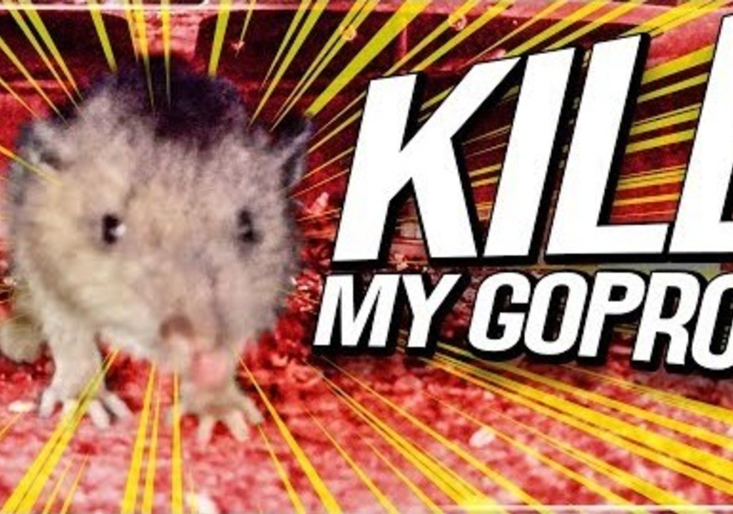 Can You Boil a GoPro? Vlogger Puts Camera Through Bizarre Performance Tests