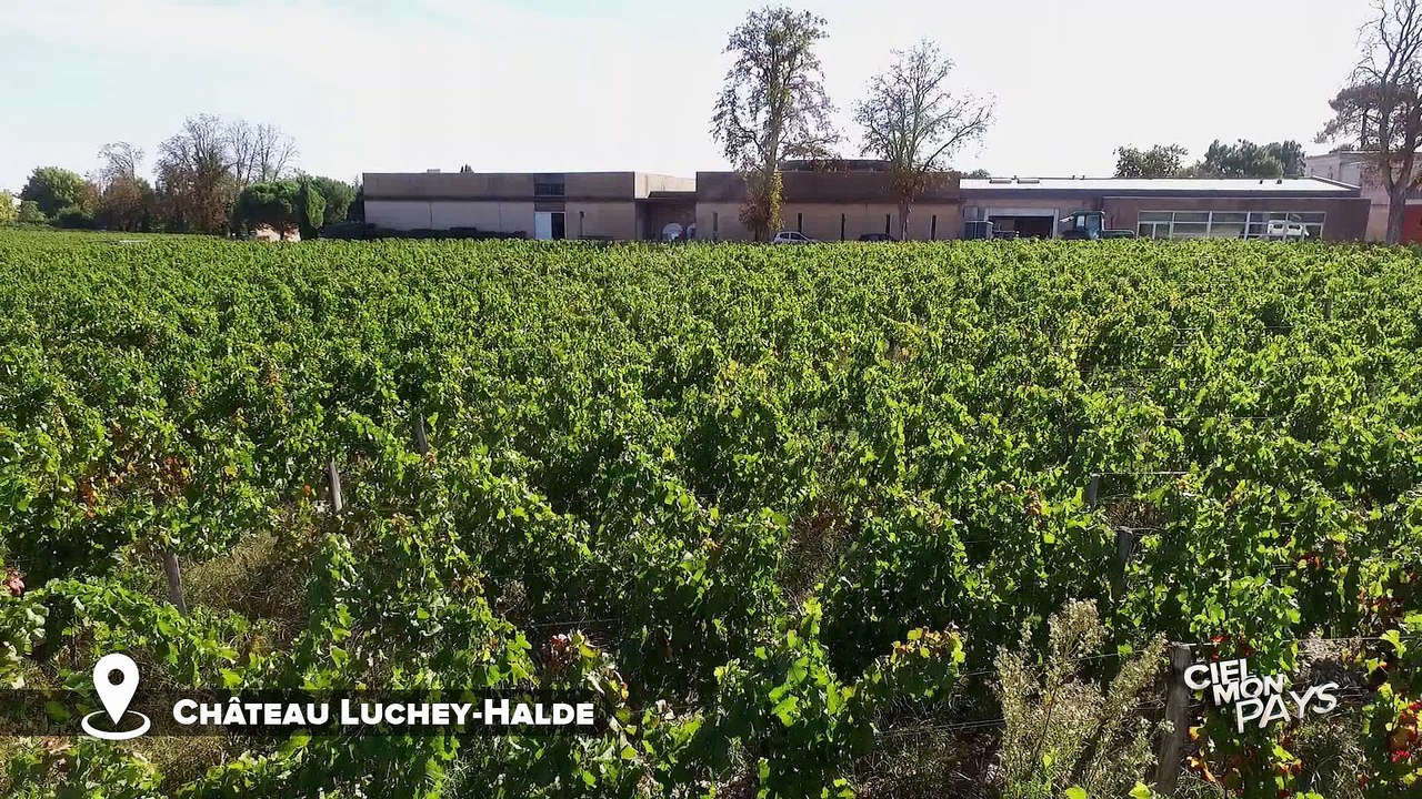 Ciel mon pays - Château Luchey Halde