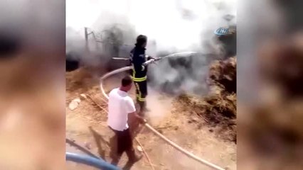 Başkale'de Çıkan Yangında 2 Bin Bağ Ot Kül Oldu