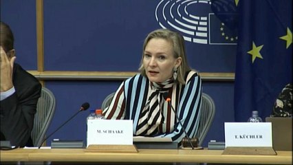 Raw Politics: how can Europe filter what's fact and what's fake news?