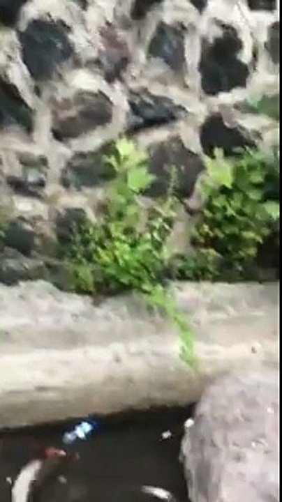 Ağasar Deresinin  Acınası Hali