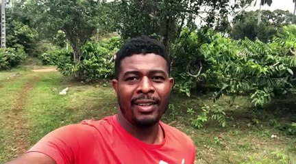 "Je vous reçois sur mon exploitation agricole, à la Réunion."